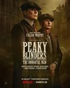 浴血黑帮第六季在线视剧在线观看