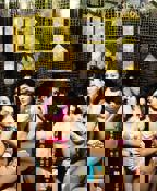 鸭王1电视剧粤语在线观看全集高清